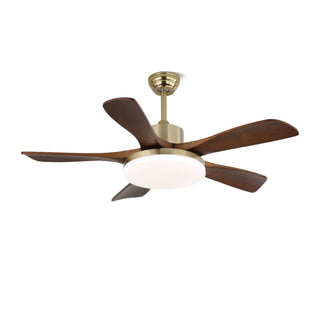 Ventilateur de Plafond Luminaire Aurelia en Bois