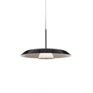 Calyx Suspension Artistique Acrylique