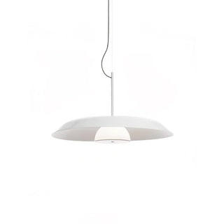 Calyx Suspension Artistique Acrylique