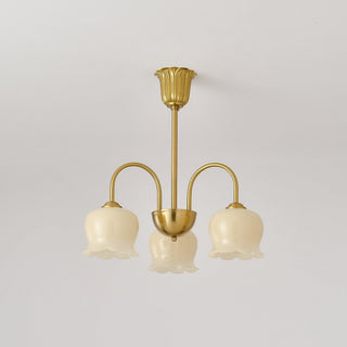 Lustra Lustre Laiton Bras Courbé Élégant