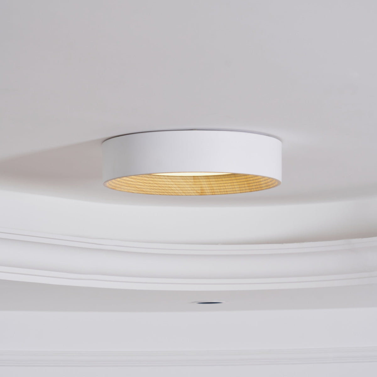 Belara Plafonnier Bois Anneau Minimaliste Réglable