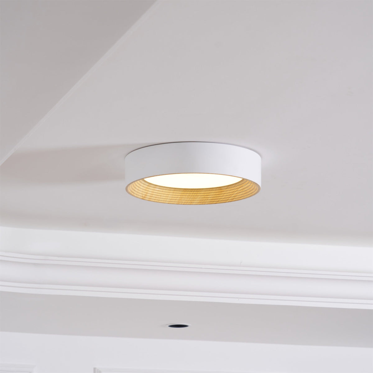 Belara Plafonnier Bois Anneau Minimaliste Réglable