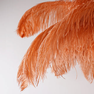 Selis Lampadaire en Laiton avec Plume d'Autruche