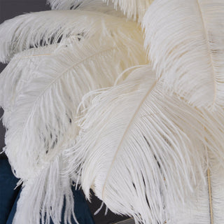 Selis Lampadaire en Laiton avec Plume d'Autruche