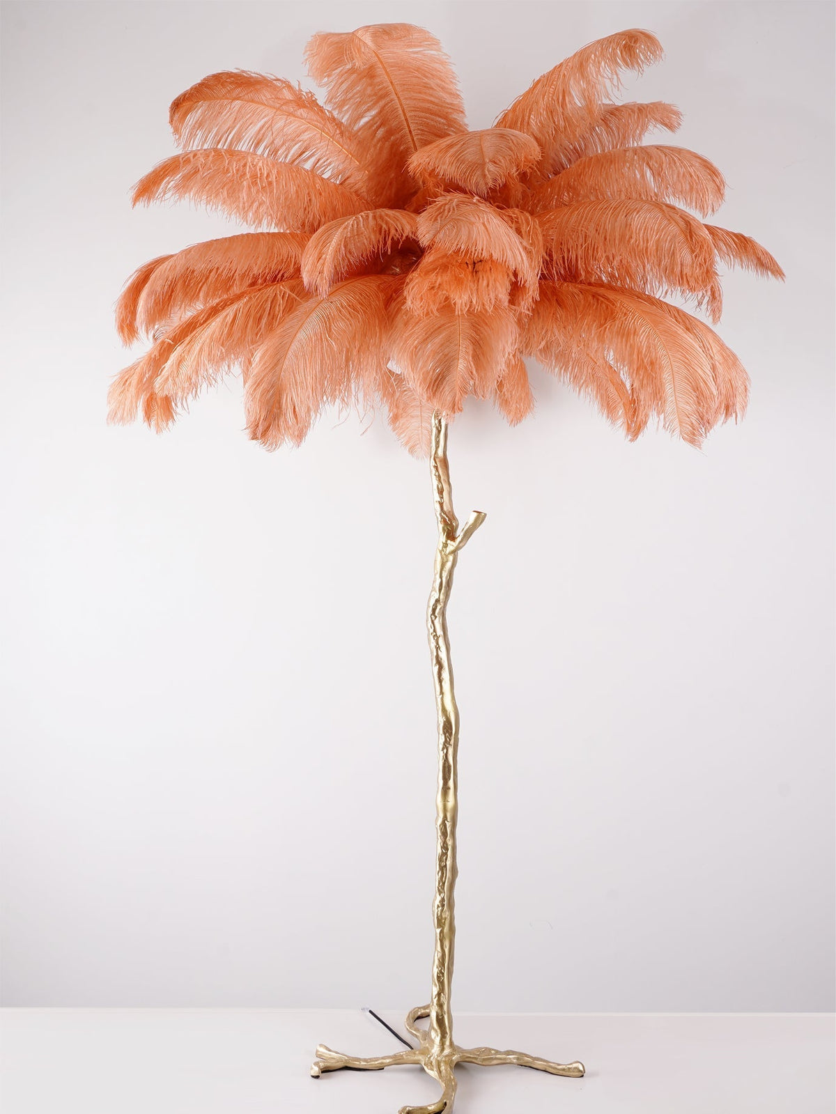 Selis Lampadaire en Laiton avec Plume d'Autruche