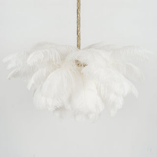 Lustra Lustre Plume d'Autruche Grand Pied en Laiton-Luire
