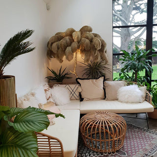 Selis Lampadaire en Laiton avec Plume d'Autruche