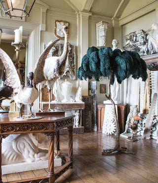Selis Lampadaire en Laiton avec Plume d'Autruche