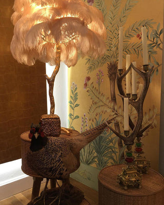 Selis Lampadaire en Laiton avec Plume d'Autruche