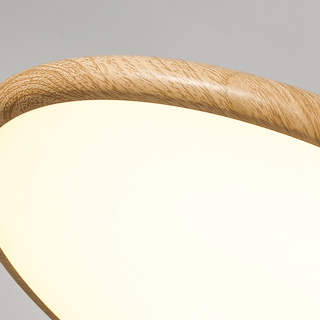 Chole Minimaliste Suspension Lumière