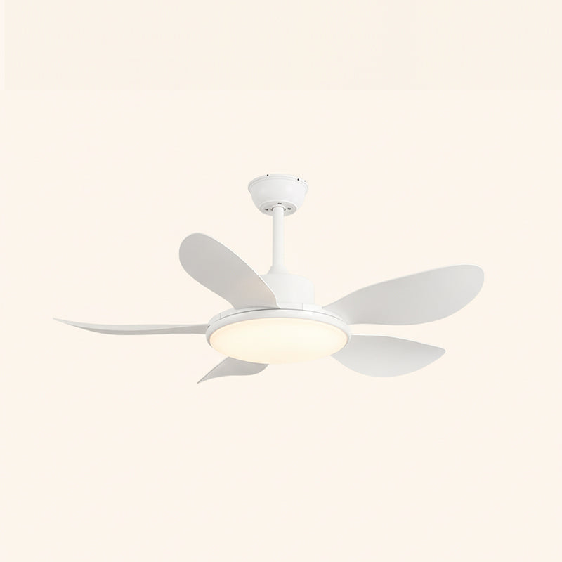 Rivivaine Ventilateur de Plafond avec Éclairage