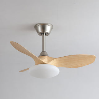 Ventilateur de plafond lumineux Sylvara