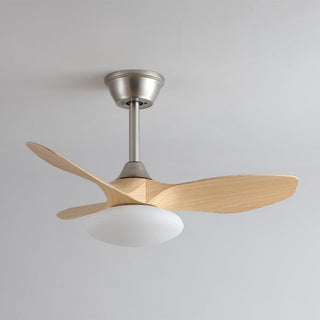 Ventilateur de plafond lumineux Sylvara