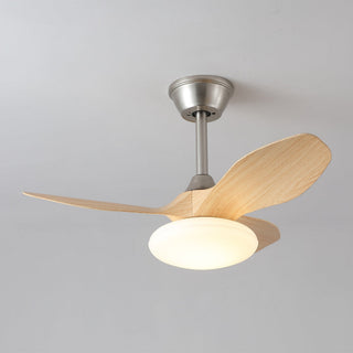 Ventilateur de plafond lumineux Sylvara