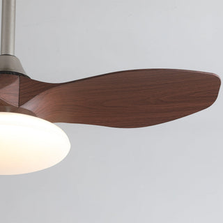 Ventilateur de plafond lumineux Sylvara