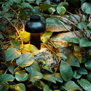Tierop Lampe à poser portable