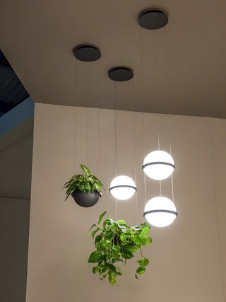 Vacaria Suspension Métal Plastique Minimaliste Moderne