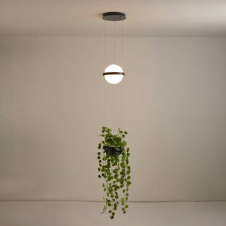 Vacaria Suspension Métal Plastique Minimaliste Moderne