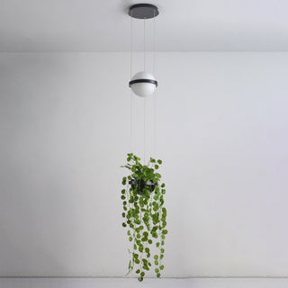 Xenith Suspension Contemporaine en Acrylique
