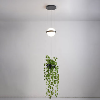 Xenith Suspension Contemporaine en Acrylique