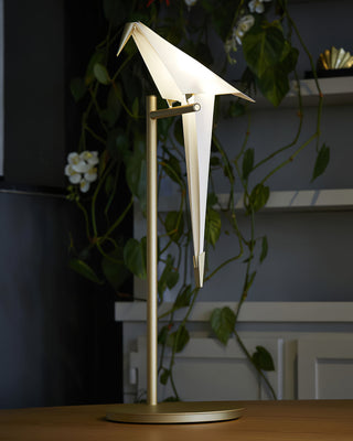 Kaelora Lampe de Table Contemporaine