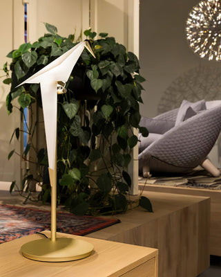 Kaelora Lampe de Table Contemporaine