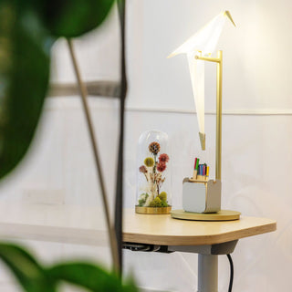 Kaelora Lampe de Table Contemporaine