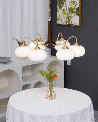 Lustra Suspension Persimmon Laiton et Verre Élégante