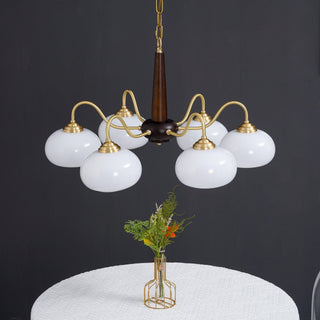 Lustra Suspension Persimmon Laiton et Verre Élégante