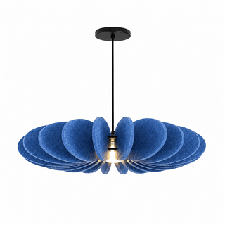Renoaine Suspension