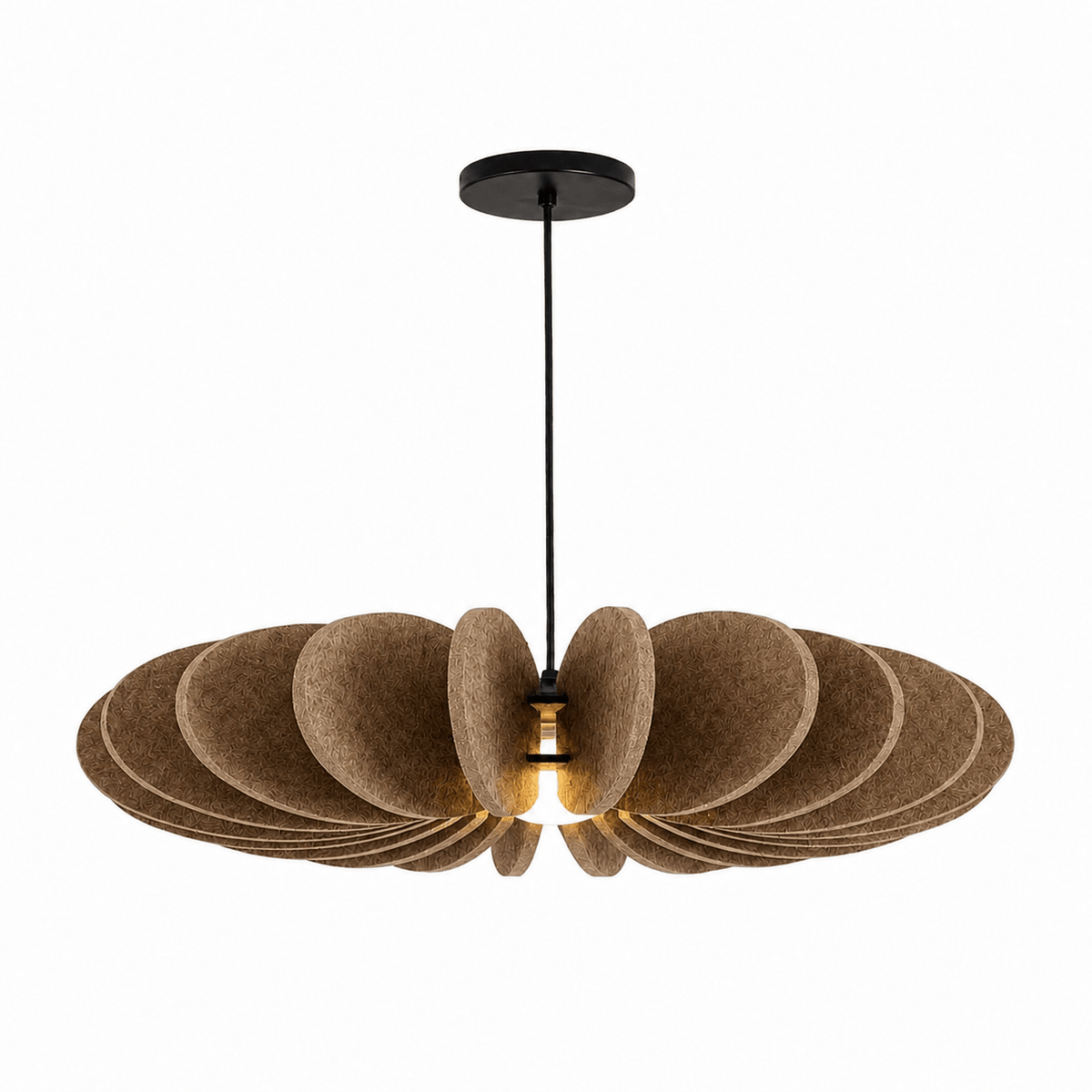 Renoaine Suspension