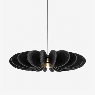 Renoaine Suspension