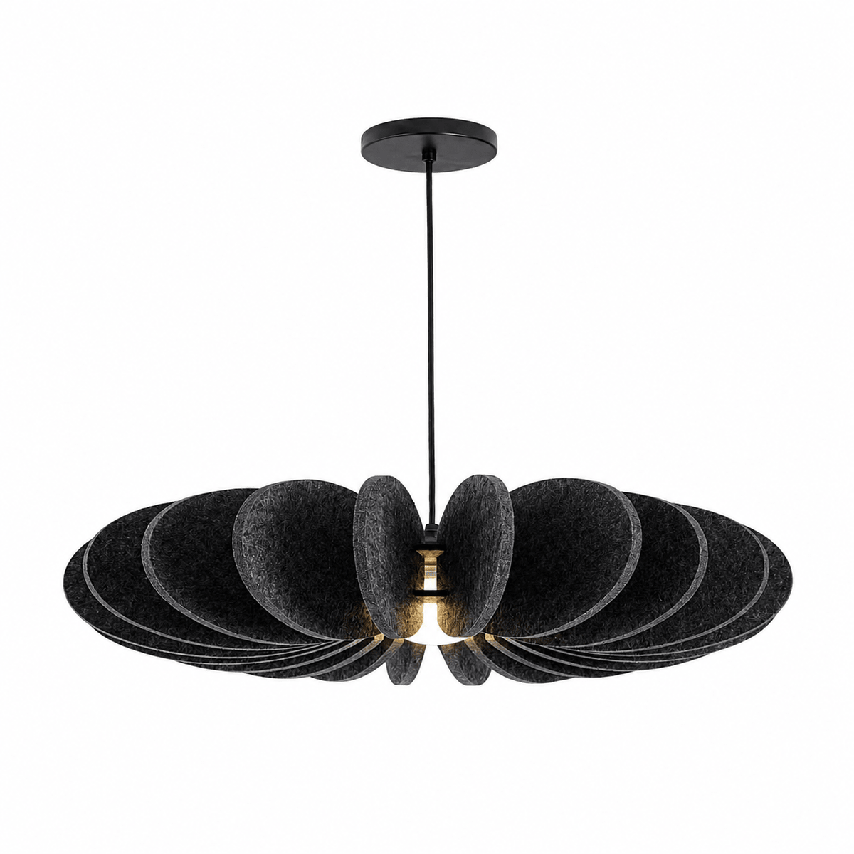 Renoaine Suspension