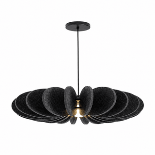 Renoaine Suspension