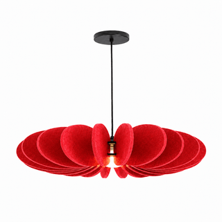 Renoaine Suspension