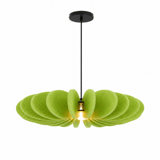 Renoaine Suspension