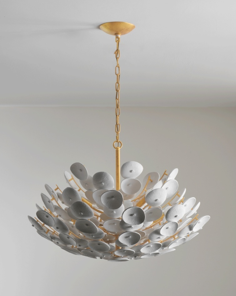Ciruira Lustre