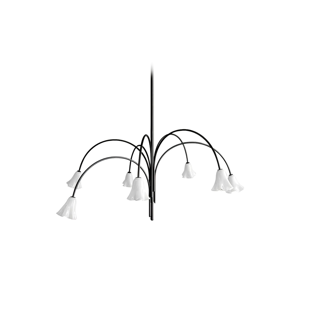 Belina Lustre Floraison Pétale Verre Bras