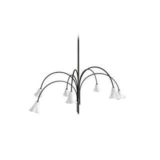 Aurora Lustre Floraison Pétale Verre Bras