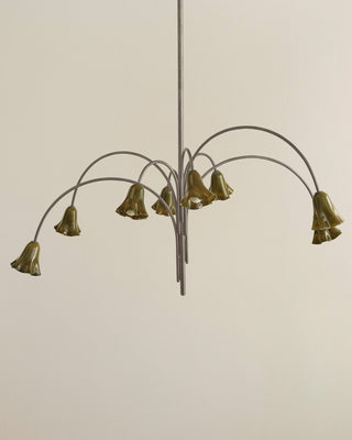 Aurora Lustre Floraison Pétale Verre Bras