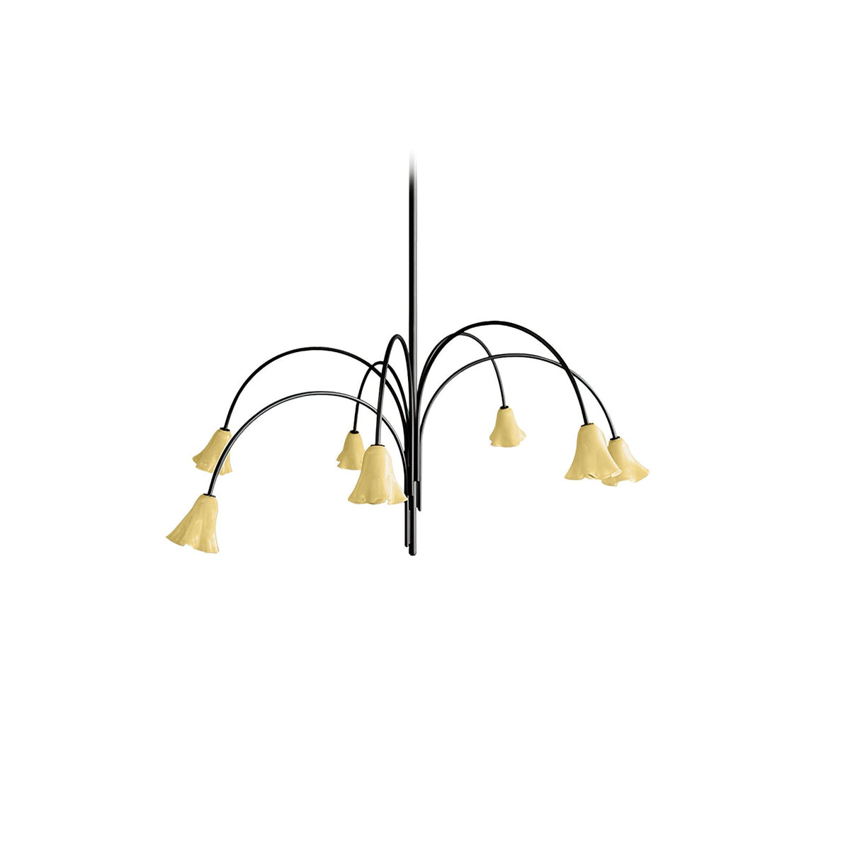Belina Lustre Floraison Pétale Verre Bras