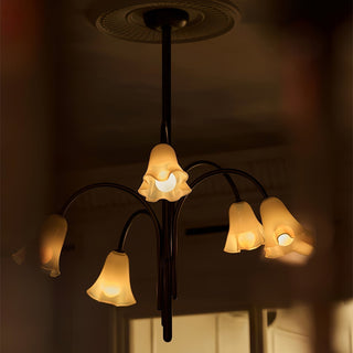 Aurora Lustre Floraison Pétale Verre Bras