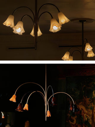 Aurora Lustre Floraison Pétale Verre Bras