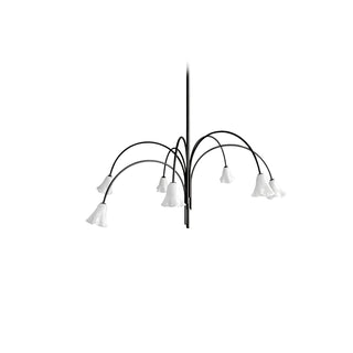 Aurora Lustre Floraison Pétale Verre Bras