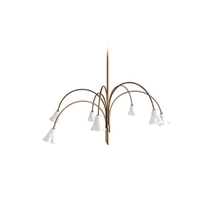 Aurora Lustre Floraison Pétale Verre Bras