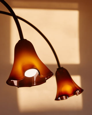 Aurora Lustre Floraison Pétale Verre Bras