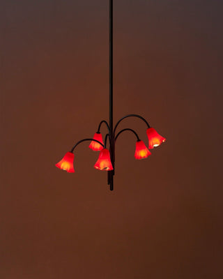 Aurora Lustre Floraison Pétale Verre Bras