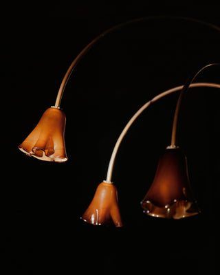 Aurora Lustre Floraison Pétale Verre Bras