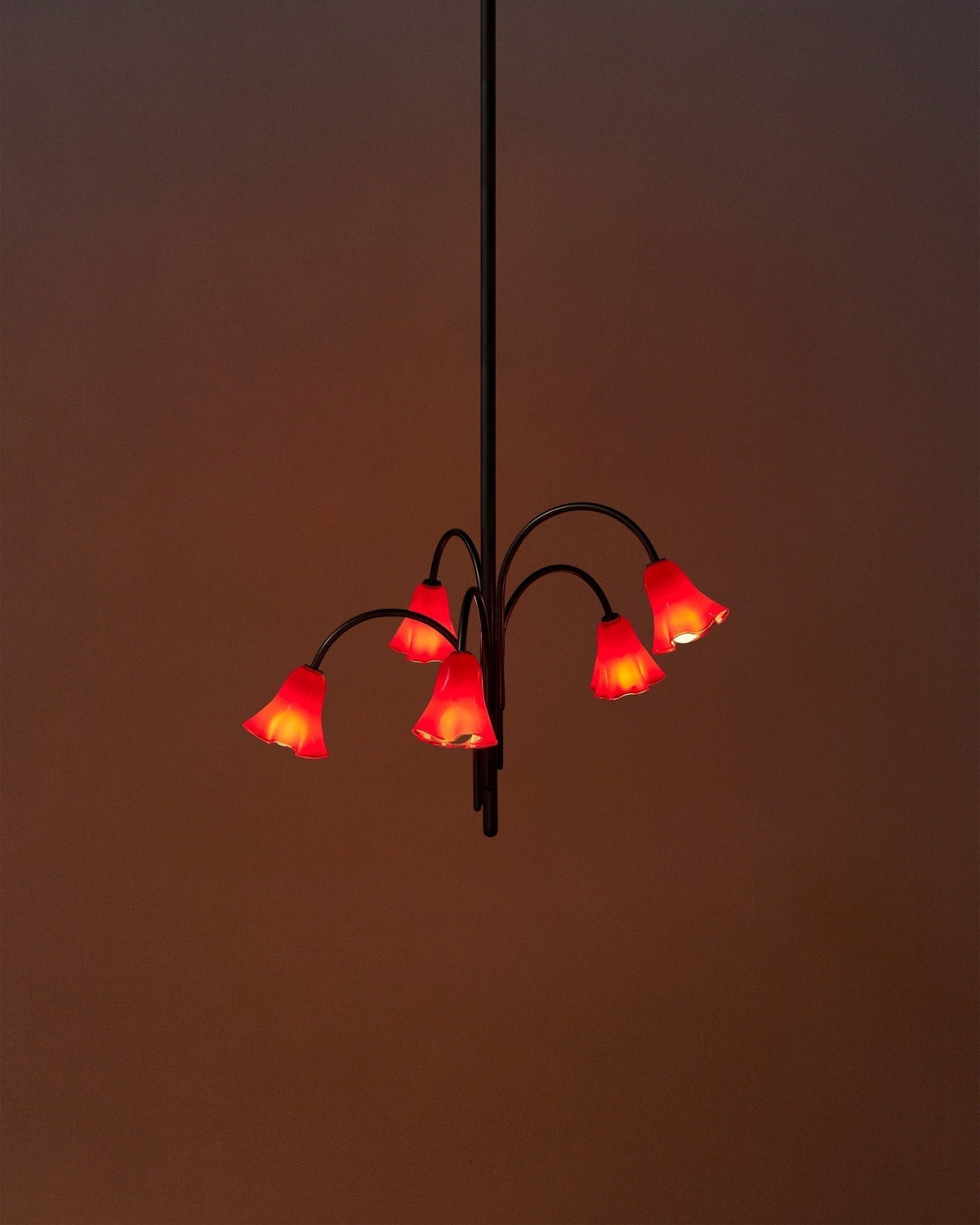Belina Lustre Floraison Pétale Verre Bras