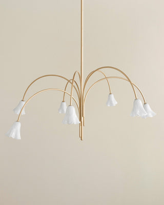 Aurora Lustre Floraison Pétale Verre Bras